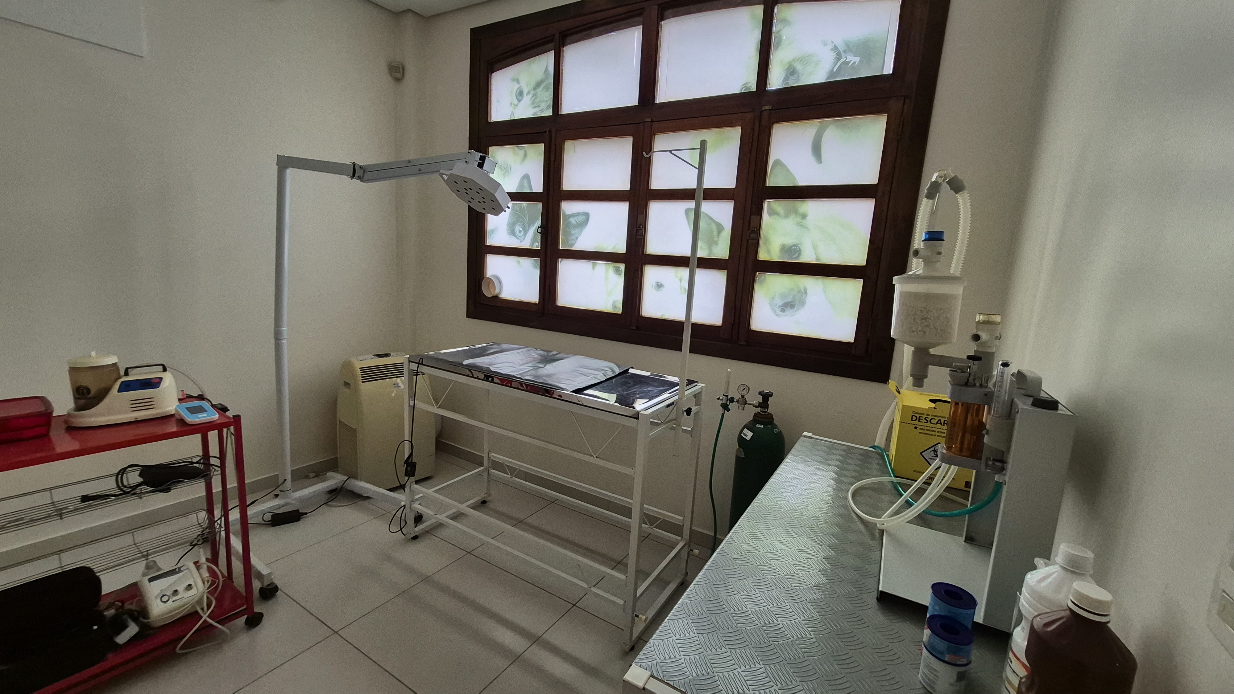 Sala cirúrgica veterinária equipada da clínica Cheila Panizzi