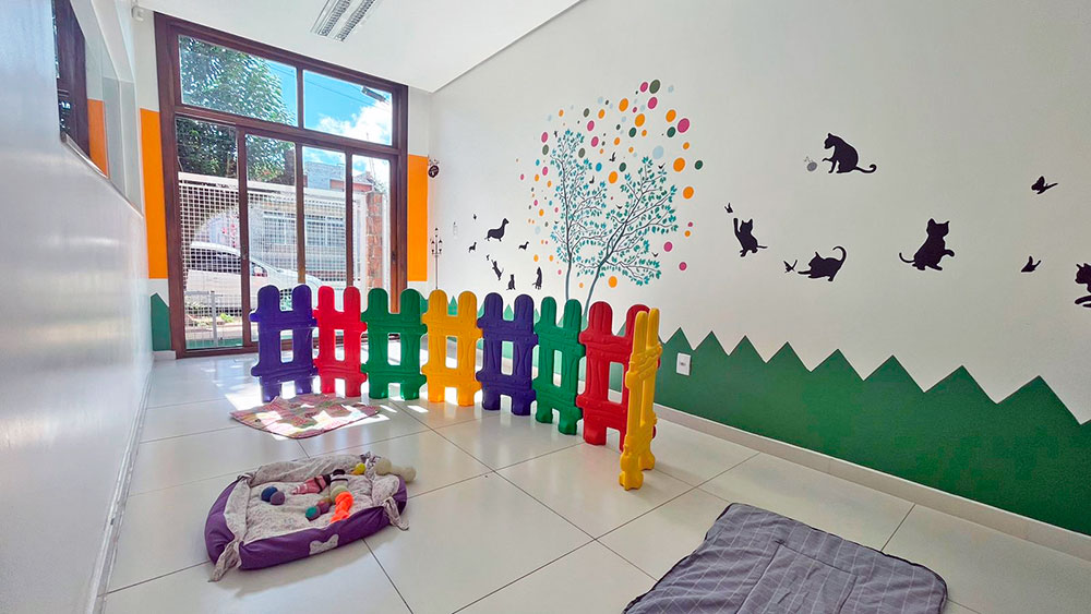 Espaço interno da creche preparado para os pets
