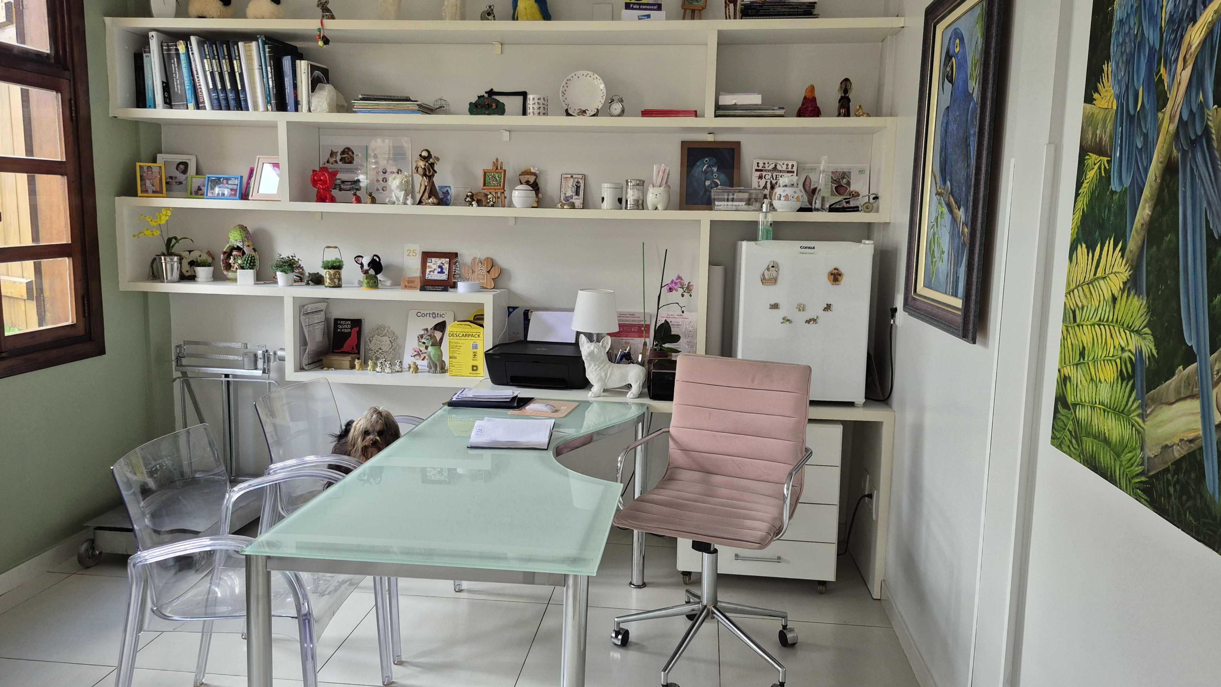 Consultório da clínica Cheila Panizzi Veterinária