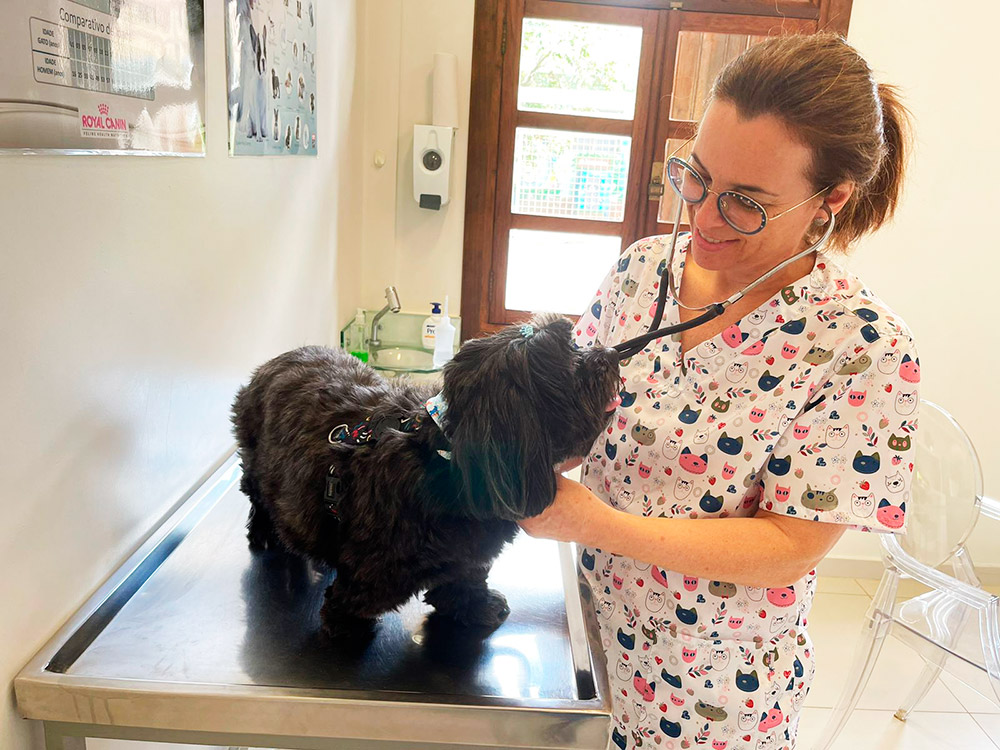 Veterinária Cheila Panizzi examinando um cão com estetoscópio